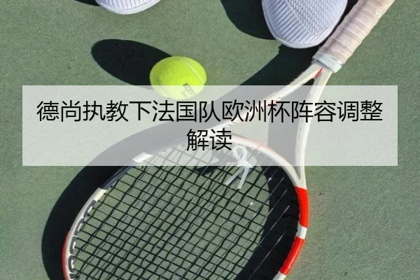 德尚执教下法国队欧洲杯阵容调整解读